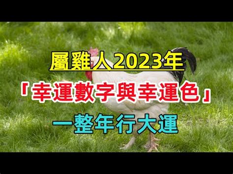 1969 屬雞2023 幸運色